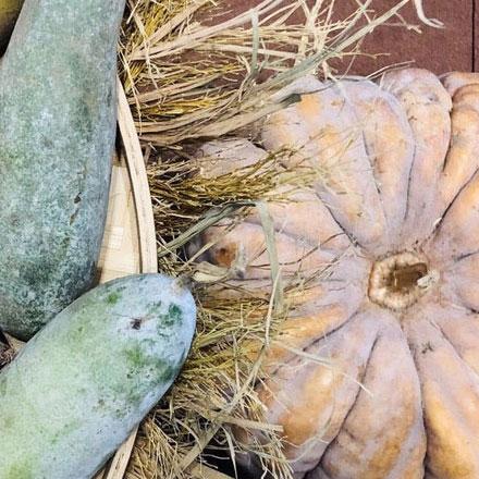 圖書館導視標識設計