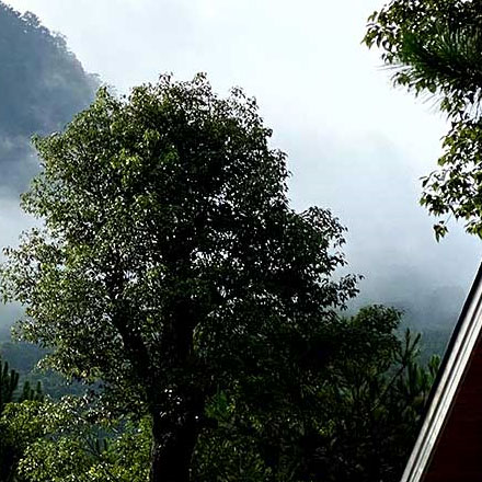 創(chuàng)意景區(qū)標(biāo)識牌設(shè)計(jì)