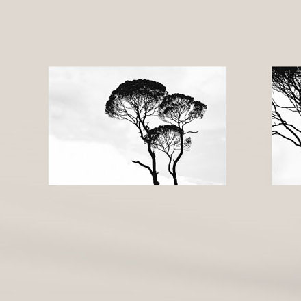 非標識設計:定制創新,非標識設計展現個性化定制服務