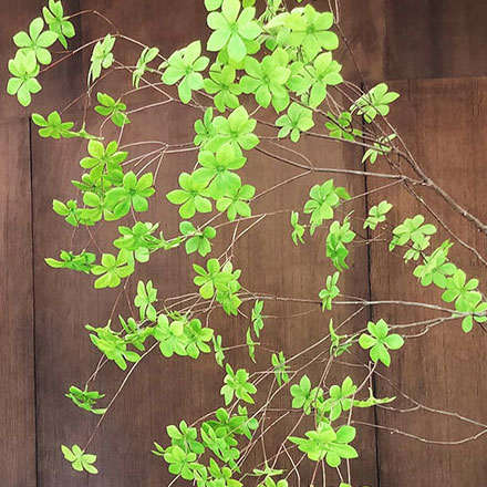 貼片電阻標識設計:電子元件,貼片電阻標識設計助您辨識元器件